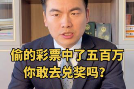 丁青为什么选择专业追讨公司来处理您的债务纠纷？